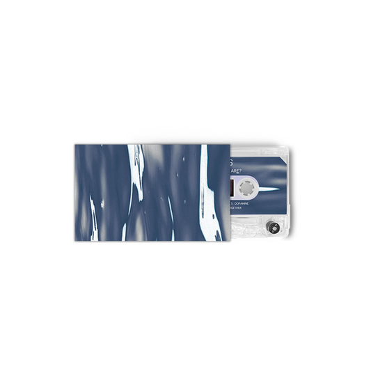 Is This All We Are? - Cassette